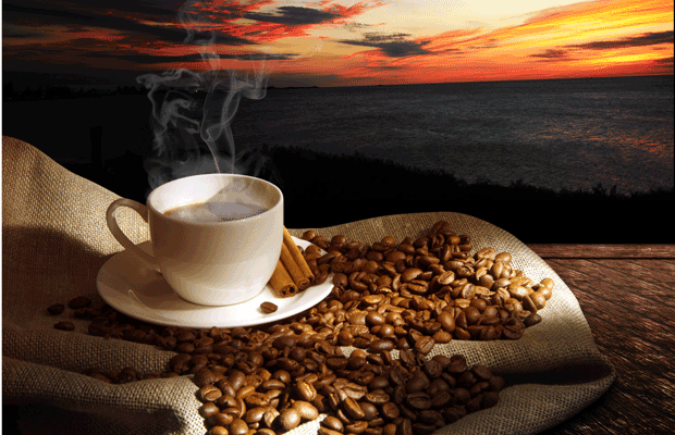 caffeina