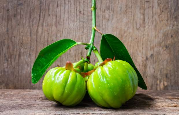 garcinia cambogia