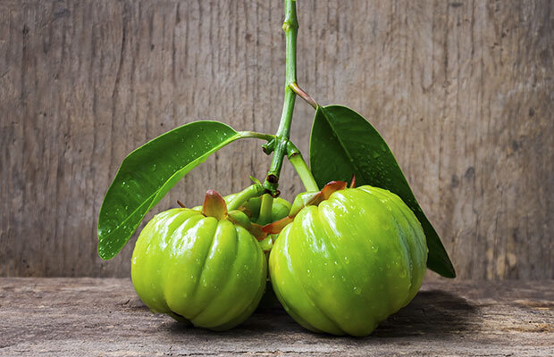 garcinia cambogia