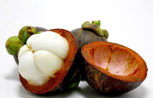 garcinia cambogia mangosteen