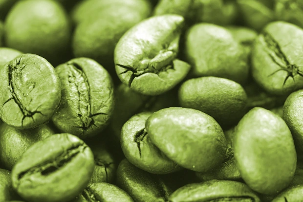 chicchi di caffè verde